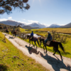 Horse treks around Glenorchy