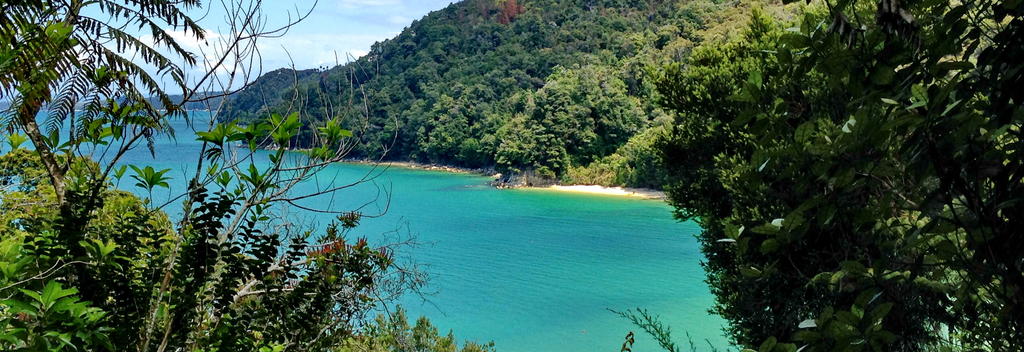 Visit the beautiful aqua waters of Abel Tasman National Park