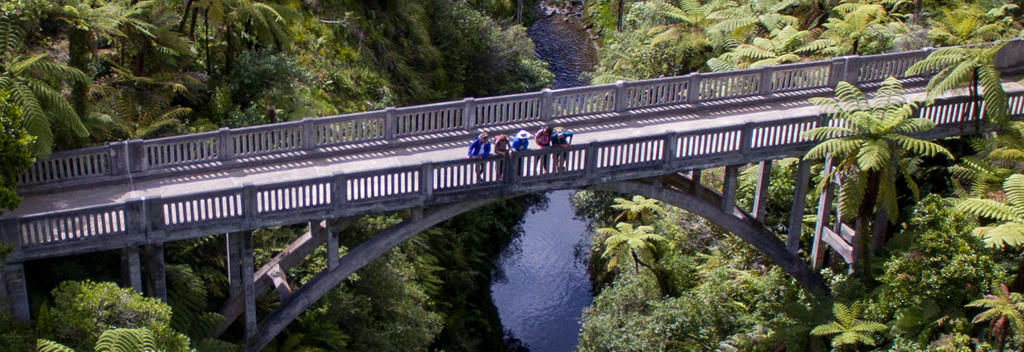 The Bridge to Nowhere spans the Mangapurua Stream in Whanganui National Park, North Island, New Zealand with the roads to and from long swallowed by the surrounding bush.