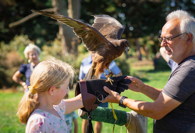 From ancient Māori rock art to large birds of prey, Timaru has plenty of attractions you won’t find anywhere else. Here are eight of the best.