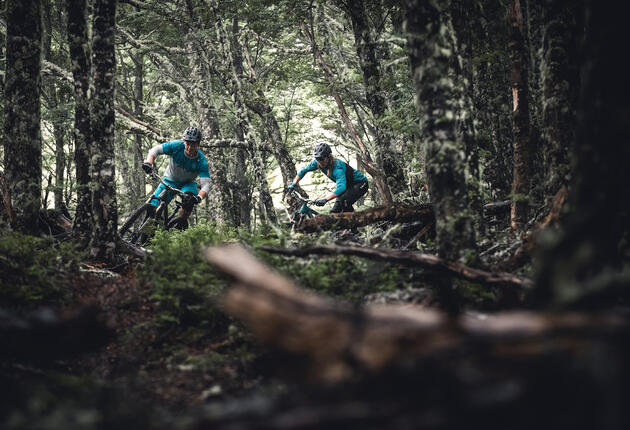 Set in stunning, mountain surrounds, these technical mountain biking trails feature fragrant beech forest, memorable alpine vistas, and some epic downhills.