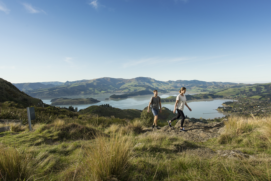 Wander the Port Hills on the edge of Christchurch city