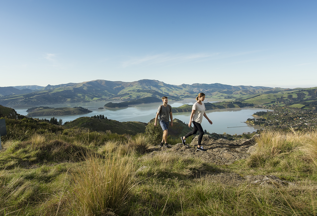 Explore the diverse Canterbury region, home to thriving cultural centres and tiny rural towns. 