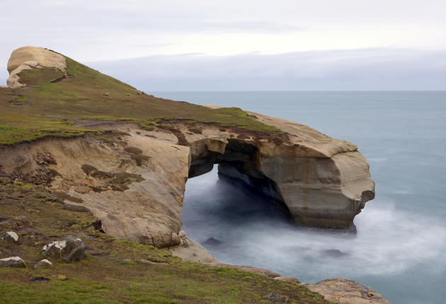Explore the sea-carved sandstone cliffs, rock arches and caves at Tunnel Beach; look for fossils as you descend through the pioneers' hand-carved tunnel.