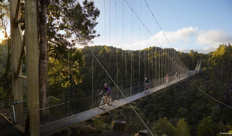 这座长吊桥四周都是葱郁的新西兰自然风光。
