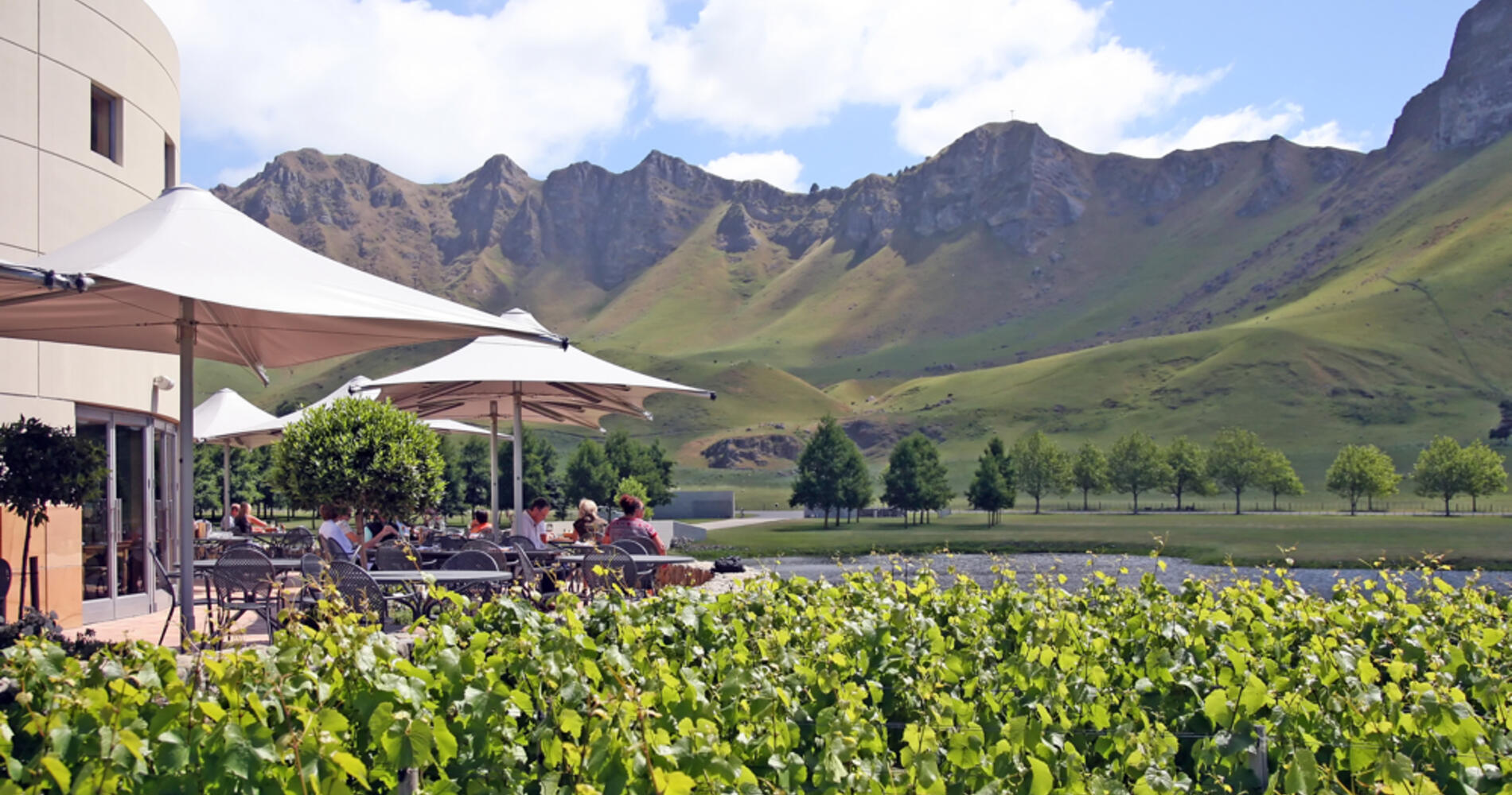 Wineries In Hawke S Bay 100 Pure New Zealand