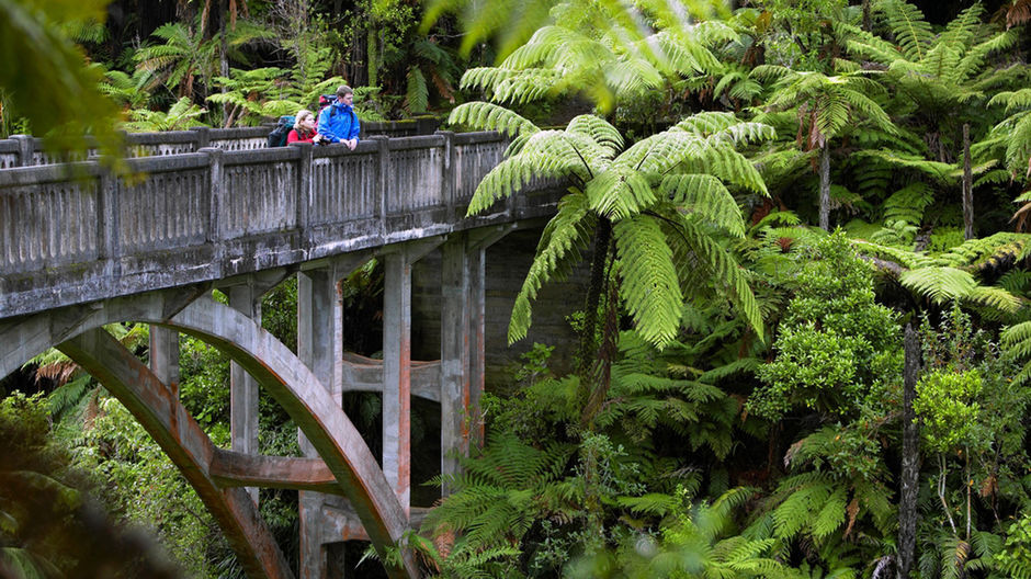 ワンガヌイ国立公園の「行き先のない橋」