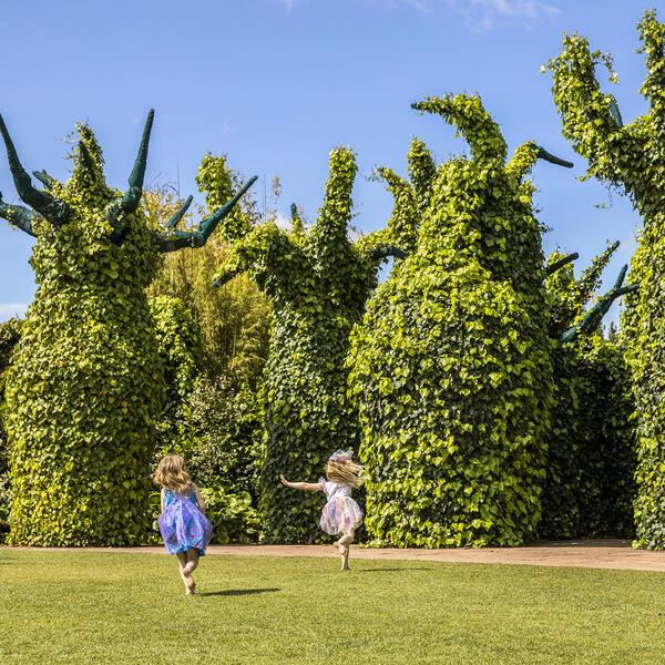 The Hamilton Gardens