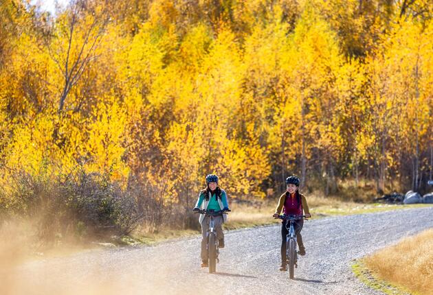 Stunning scenery and varied local attractions will compete for your attention as you explore New Zealand's diverse cycle trails and mountain biking tracks. Find out about the great rides of New Zealand.