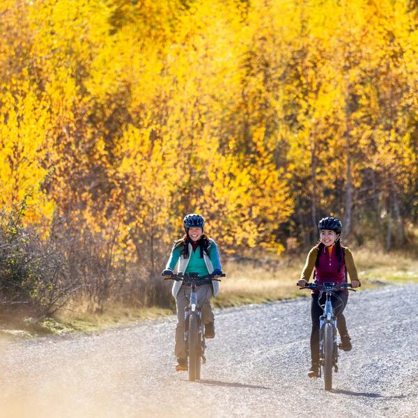 Alps 2 Ocean Cycle Trail 