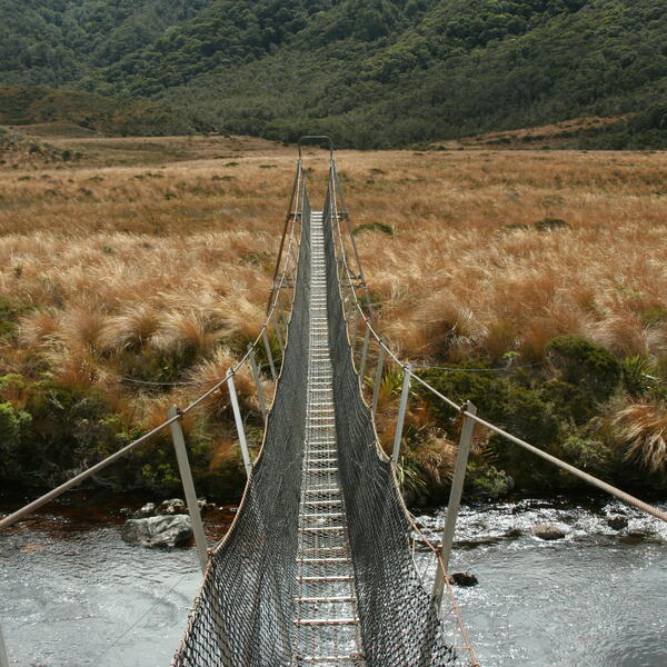 A bridge over a river on the Heaphy Track in Kahurangi National Park.