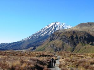 The Start of the Tongariro Alpine Crossing, Let Adventure Lodge take care of you