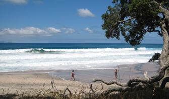 Beach at Orokawa Bay