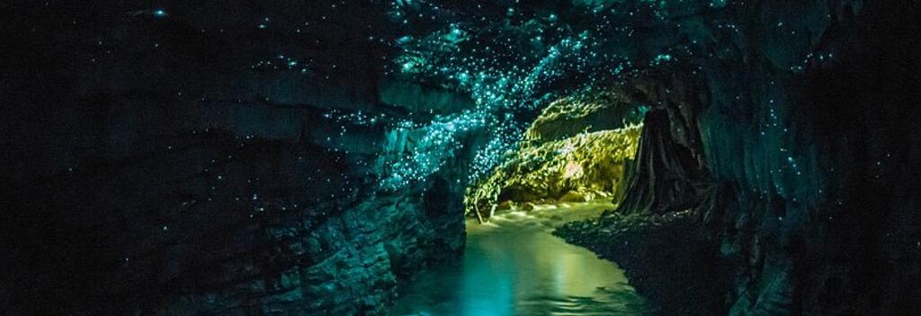 Te Anau Glowworm Caves