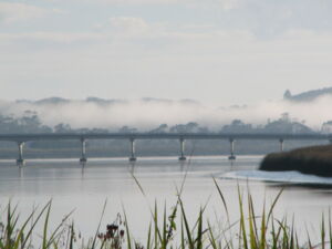 The bridge over the Northern Wairoa River, Dargaville, Kauri Coast, Northland, New Zealand