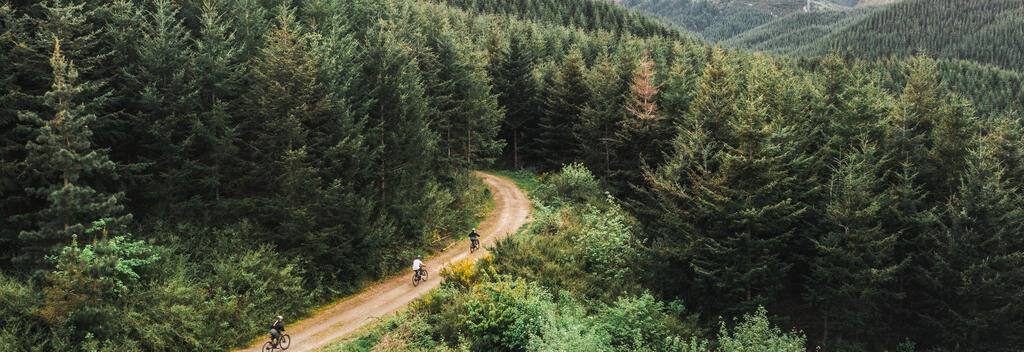 Hanmer Mountain biking