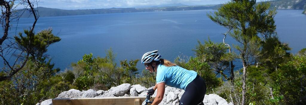 Waihaha to Waihora on the Great Lake Trail.