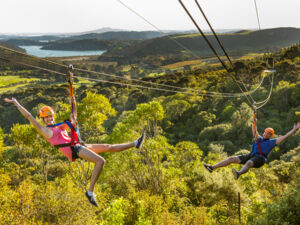 Ziplining through native bush on Waiheke Island.