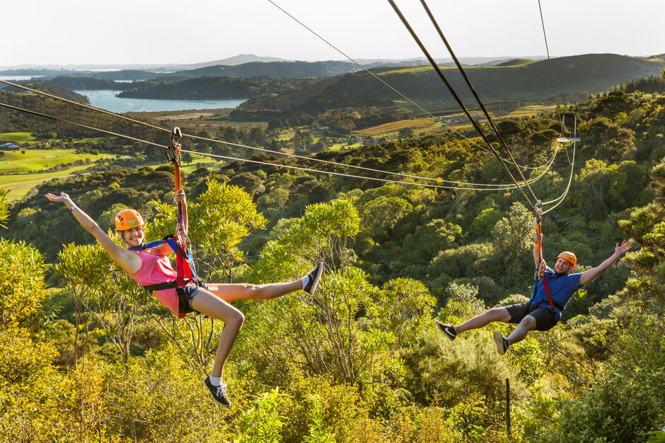 Ziplining through native bush on Waiheke Island.