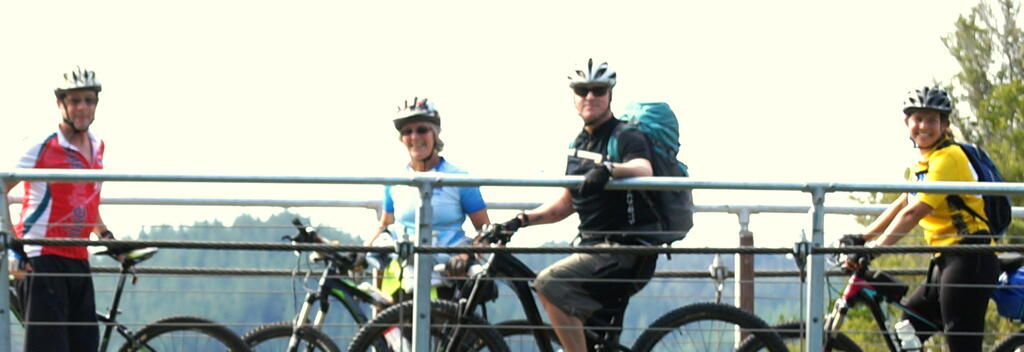 Kumara Chasm swing bridge