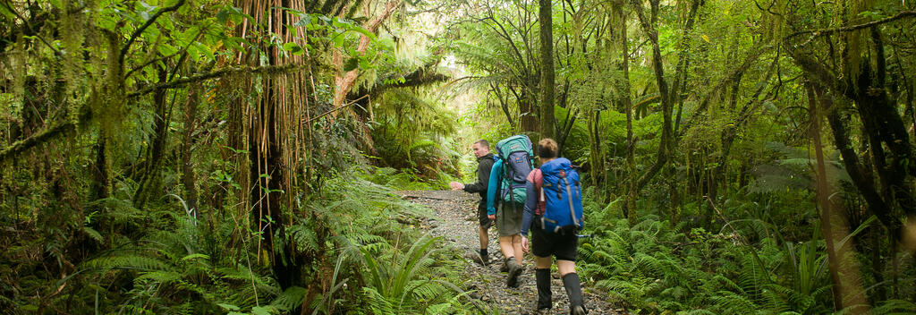 Milford Track