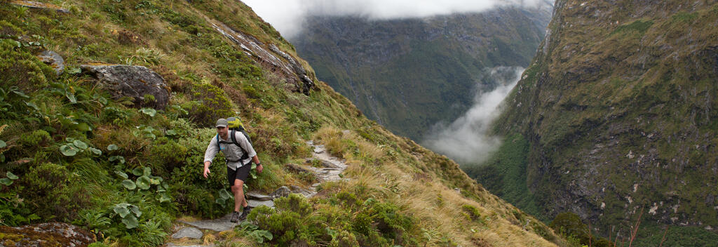 Ascending Mackinnon Pass, Milford Track