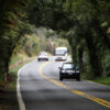 Driving through the Fitzgerald Glade