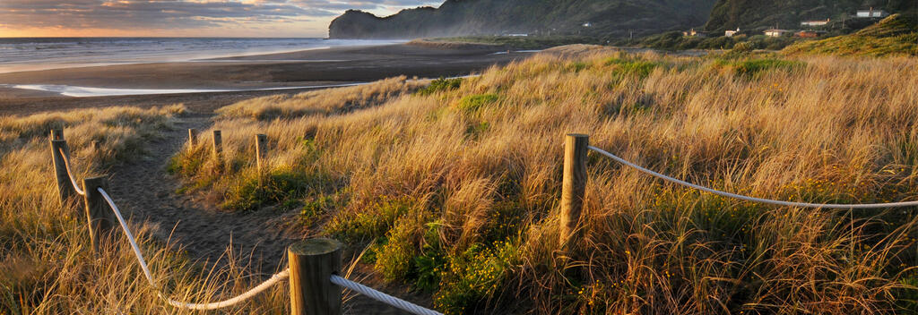 Piha Beach