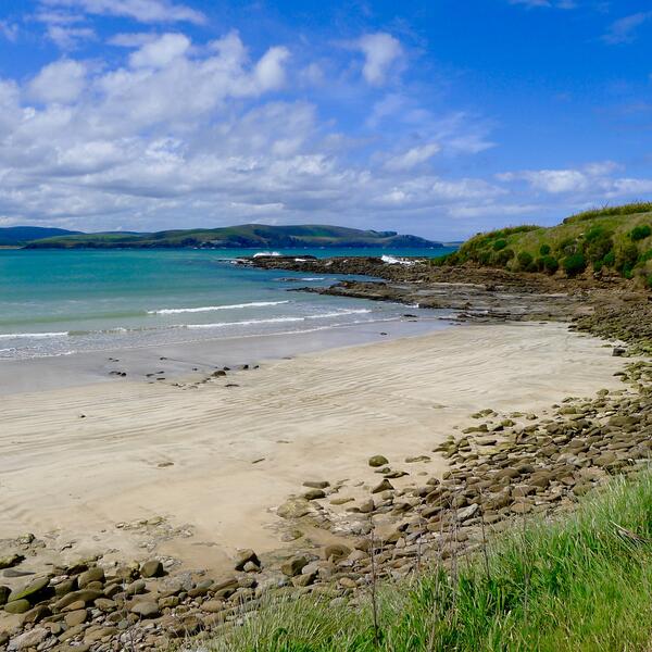 Curio Bay, Catlins Region, New Zealand