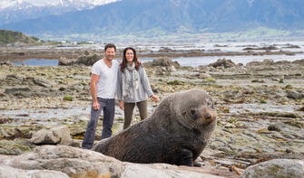 Seal watching in Kaikoura