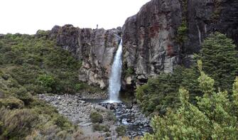 Taranaki Falls - 2 hr family loop track walk