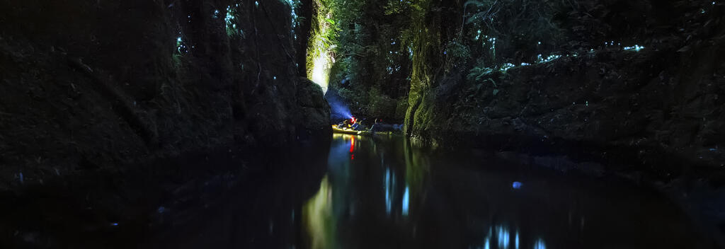 Magical Glow Worm Canyon