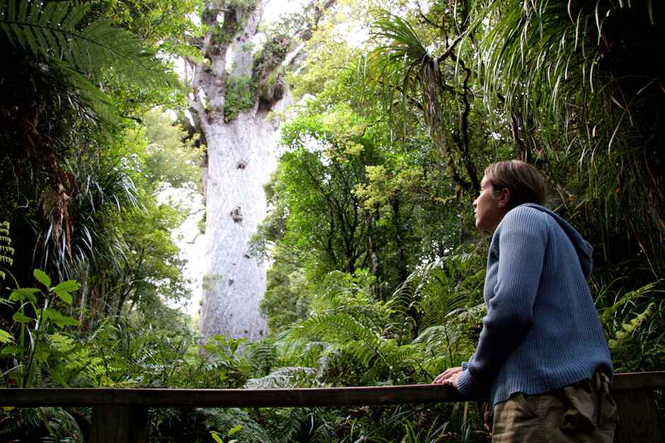 Tane Mahuta -The Lord of the Forest