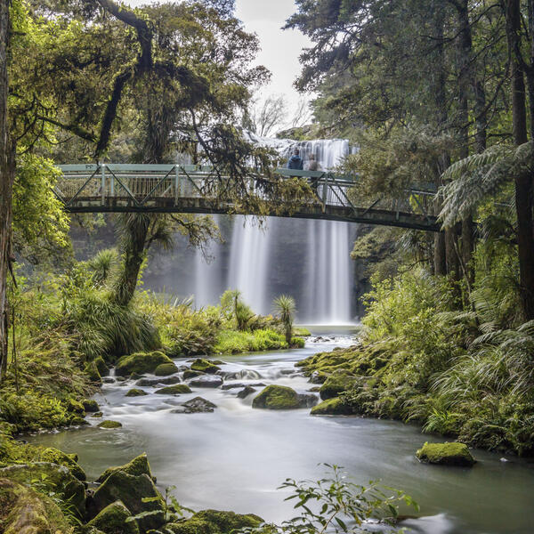 Whangārei Falls