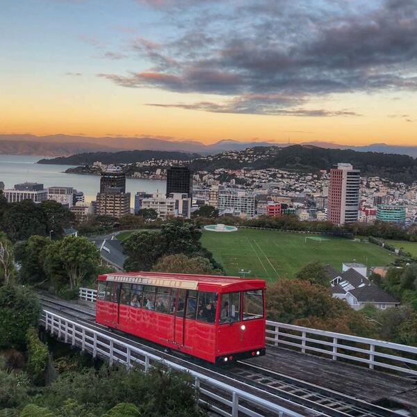 View of Wellington from Mt Victoria