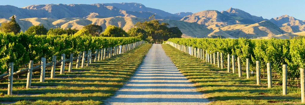 Marlborough Wine Tours