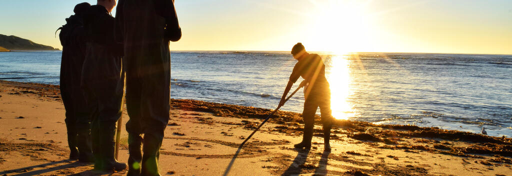 Dive Tatapouri Sunrise