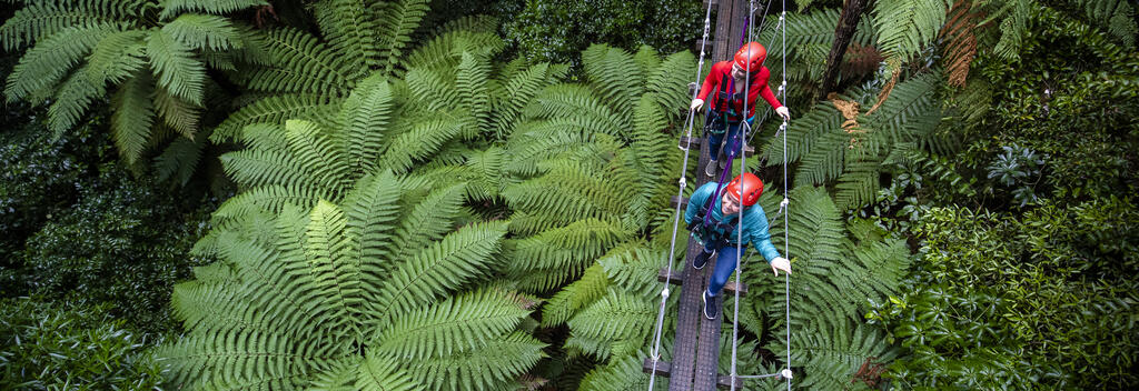 You'll love our swing bridges, suspended high in the forest canopy.