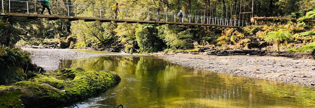 The Paparoa Track