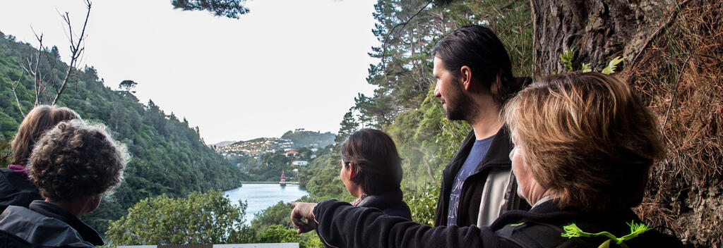 Twilight Tours at ZEALANDIA