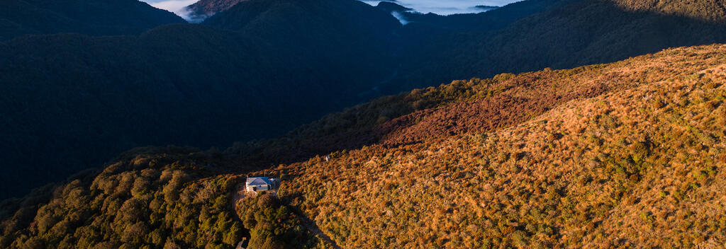 Paparoa Track