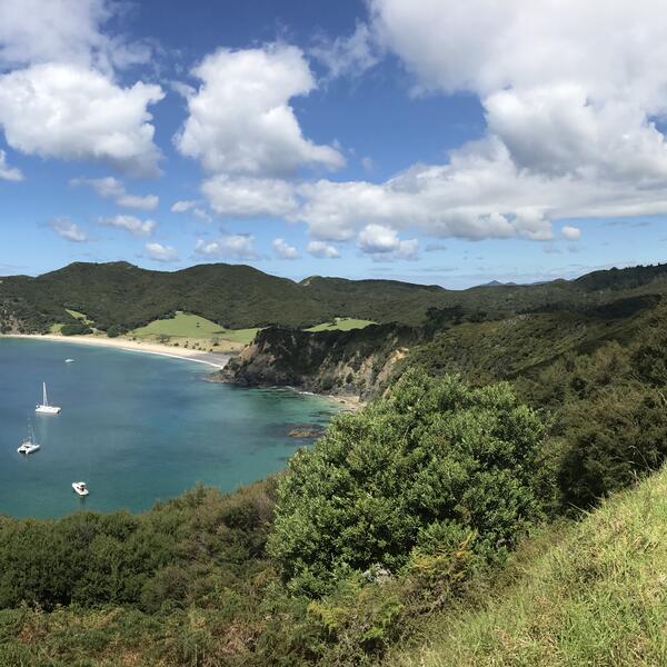 Great Barrier Island Adventure Weekend