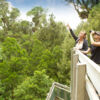 Enjoying the view from the canopy tower at Sanctuary Mountain Maungatautari