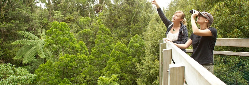 Enjoying the view from the canopy tower at Sanctuary Mountain Maungatautari