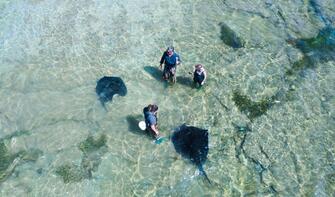 Aerial view of reef