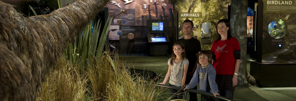 Explore Zealandia's award winning interactive exhibition before you head out into the sanctuary.