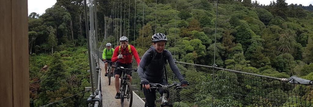 Maramataha Bridge, Pureora Forest