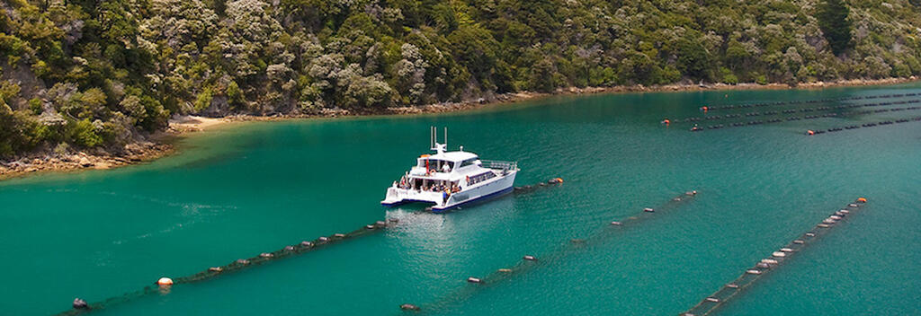 Marlborough Sounds Cruise