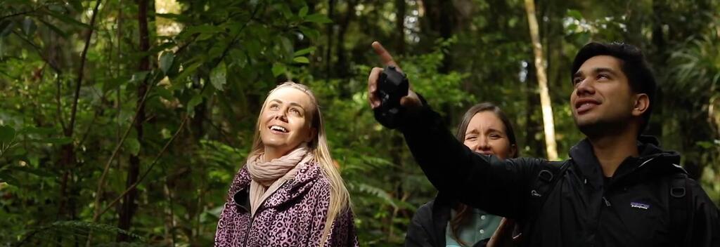 Footprints Waipoua Guided Tours