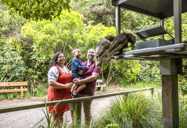 Before humans arrived New Zealand was a world of birds and plants. Here you will find some of the world’s most unique birdlife.